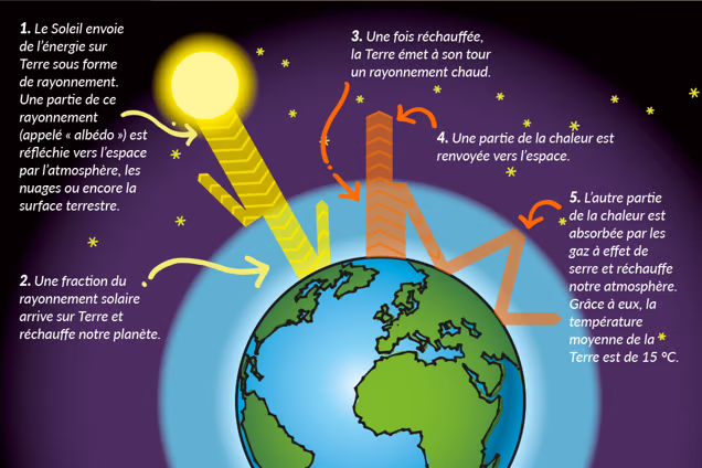 T1f Greenhouse M5KLZMX1J2irnERX 1