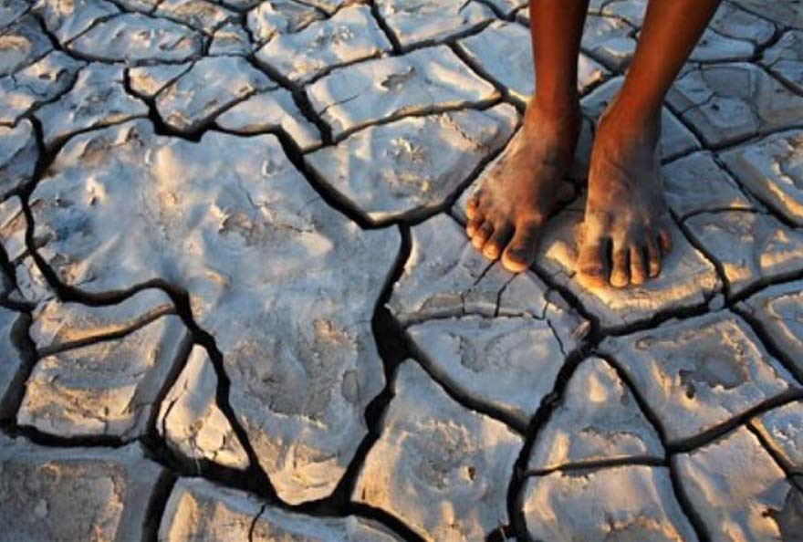 afrique changement climatique
