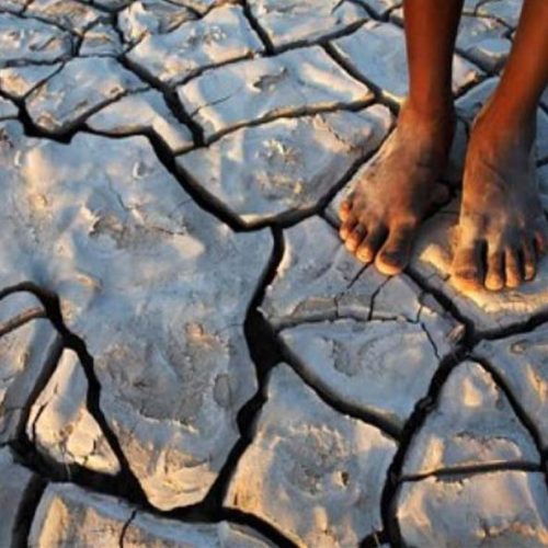 afrique changement climatique