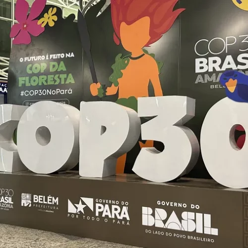 L’Afrique en quête de justice climatique à la COP 30