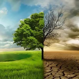 Le changement climatique